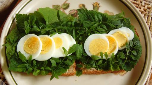[Egg and weeds in open sandwich]
