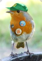 [Robin wearing badges]