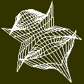 [Holly leaf wireframe]