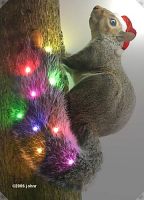 [Squirrel with coloured lights in tail]