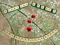 [Berries and anagram of greeting]