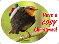 [Robin wearing Christmas themed tea-cosy]
