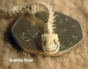 Grateful Dead