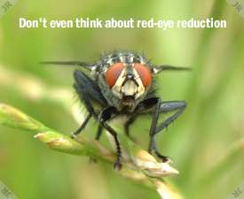 Don't even think about red-eye reduction